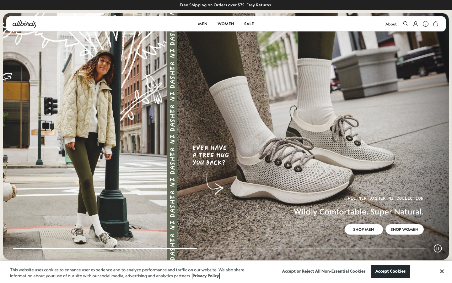 Allbirds homepage (desktop)
